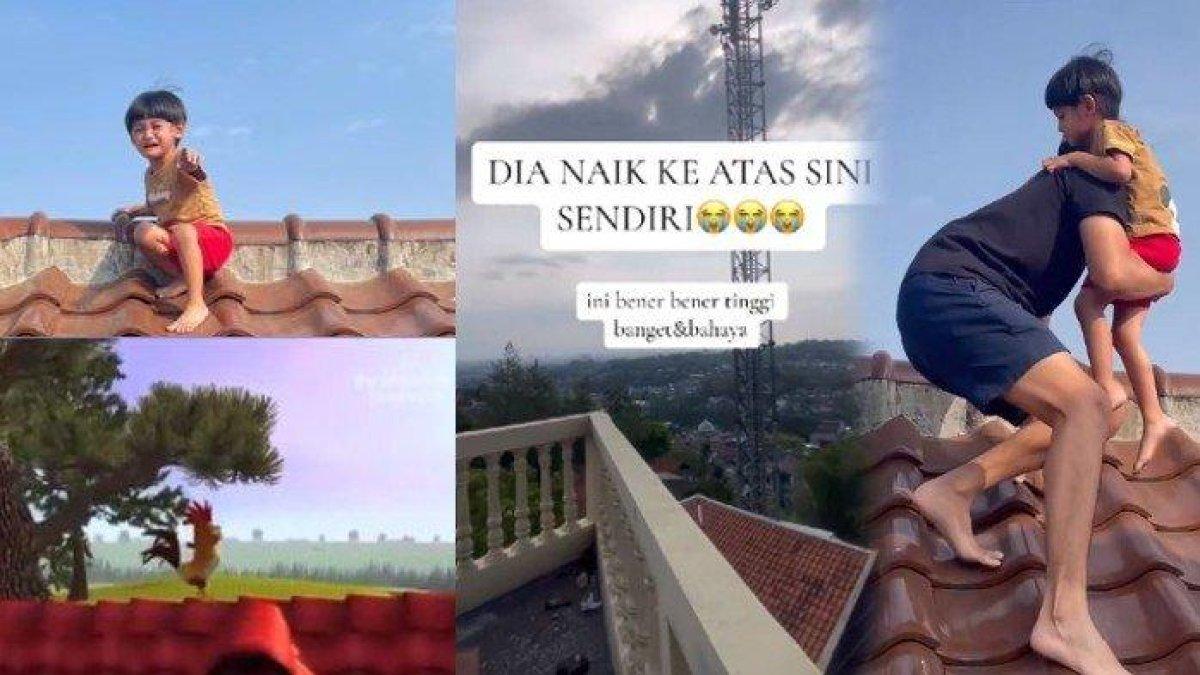 Seorang balita naik ke atap rumah usai terinspirasi ayam jago.