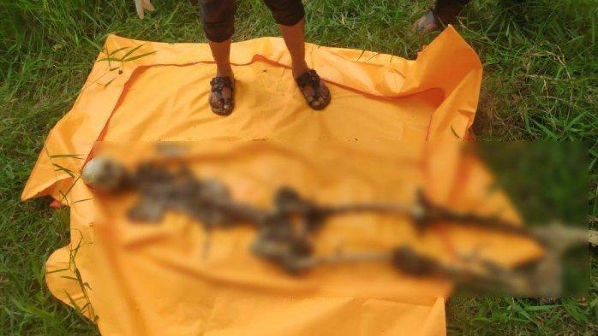 Ilustrasi - Seorang pekerja bangunan menemukan kerangka manusia di sebuah rumah kosong di Jalan Manuntung RT 14, Kelurahan Sepinggan Baru, Balikpapan Selatan, Balikpapan, Sabtu (23/9/2023) sekitar pukul 11.20 Wita. Polisi kini sedang menyelidiki identitas dan penyebab kematian korban.