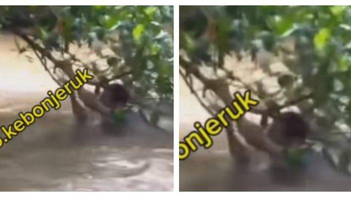 Seorang pria berinisial HR (27) nekat menceburkan diri ke kali