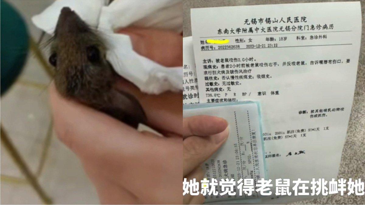 Seorang wanita gigit tikus sampai mati, dokter sampai kaget.