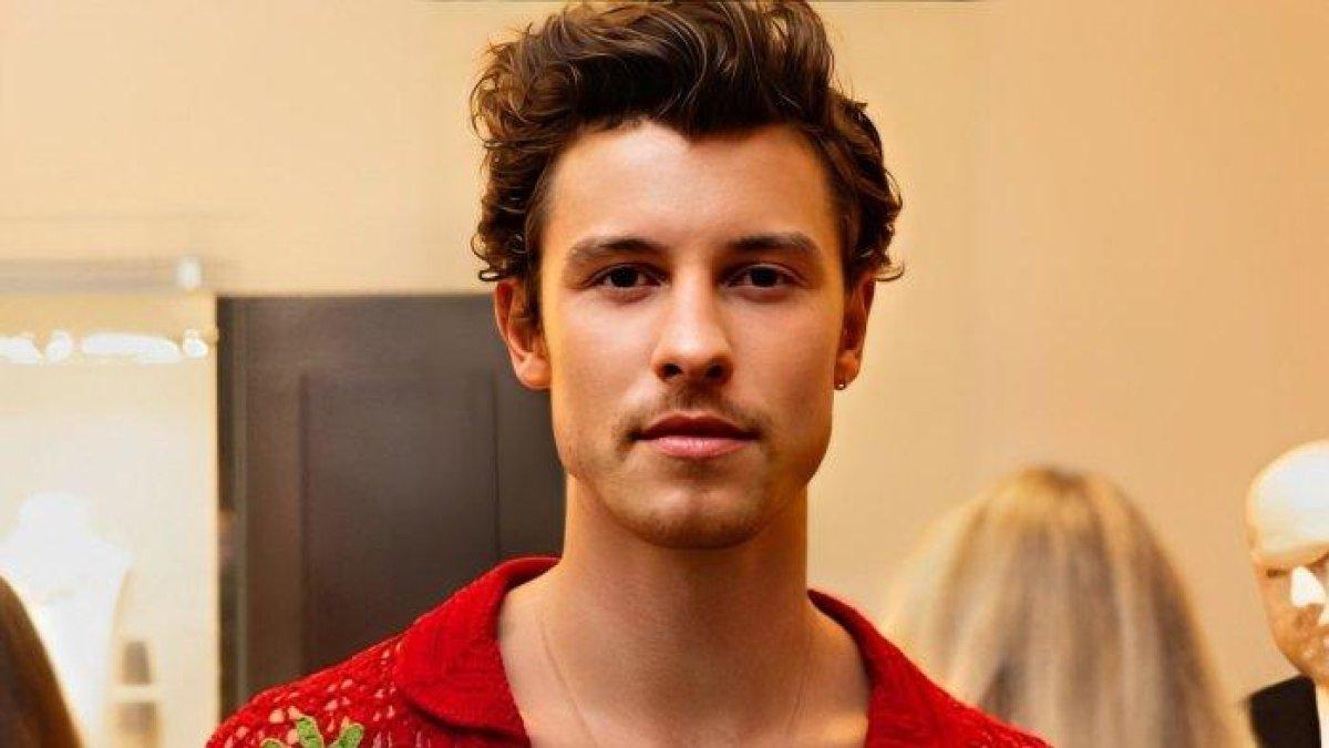 Shawn Mendes merupakan penyanyi pop asal Kanada.