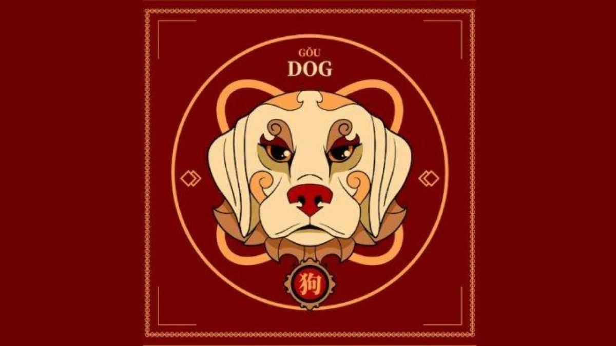 Shio Anjing besok Jumat 19 Juli 2024