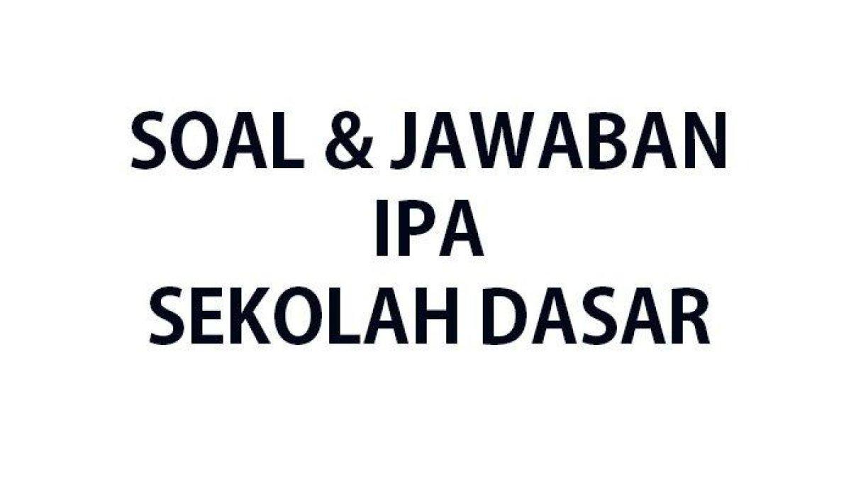 Simaklah kunci jawaban 30 soal IPA kelas 2 SD semester 2 Kurikulum Merdeka: kegunaan energi matahari