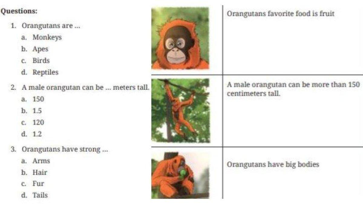 Simaklah kunci jawaban Bahasa Inggris kelas 9 SMP Kurikulum Merdeka: There are about … orangutans in Sumatra and Borneo.