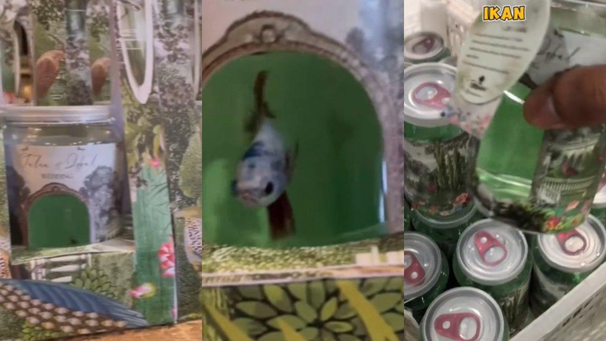 Souvenir pernikahan unik berupa ikan cupang.