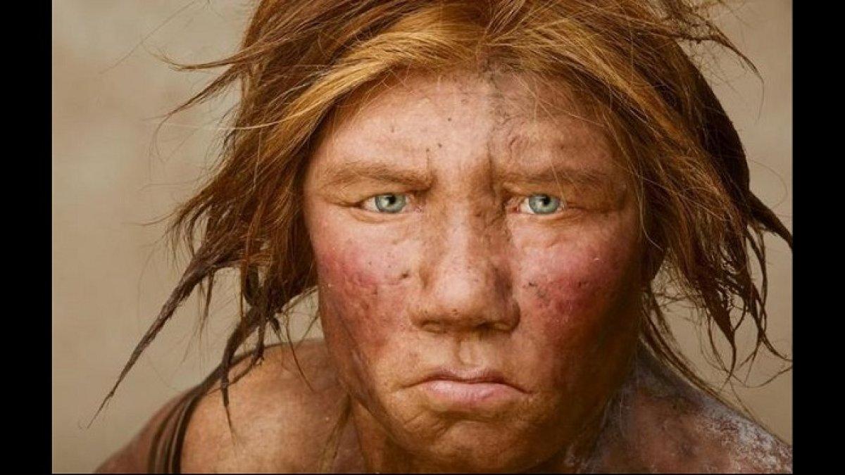 Spesies manusia yang dinamakan Homo Neandertal.