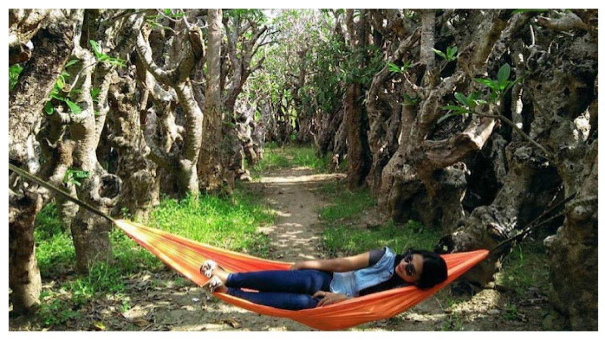 TAMAN KOTA KLATEN: Taman Kamboja Klaten