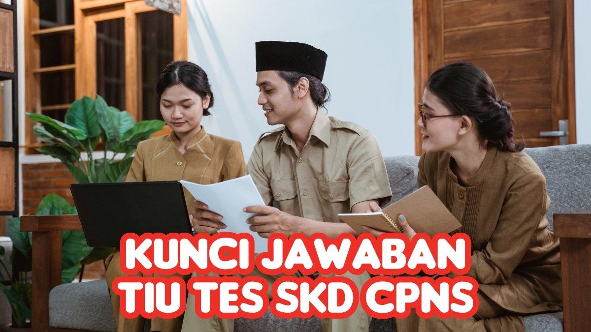 30 Kunci Jawaban TIU tes SKD CPNS: Kucing-Kucing Itu Bertengger di Atas ...