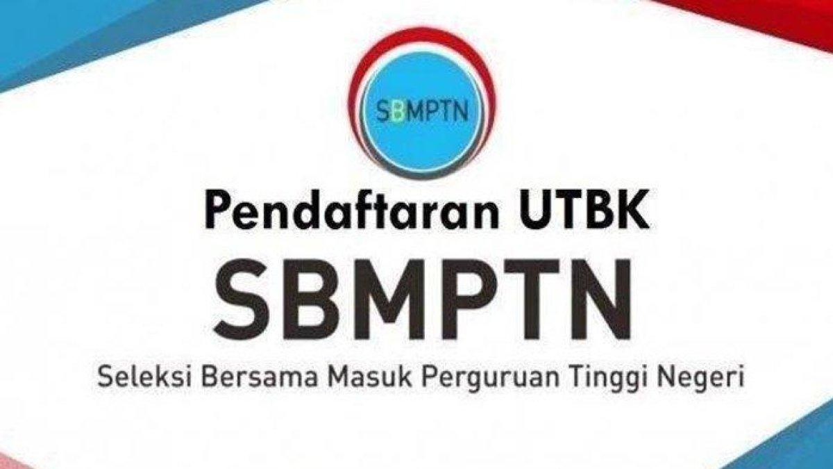 TPS Bahasa Indonesia UTBK SBMPTN: Mengapa rambut hanya tumbuh di kepala dan beberapa tempat lainnya?