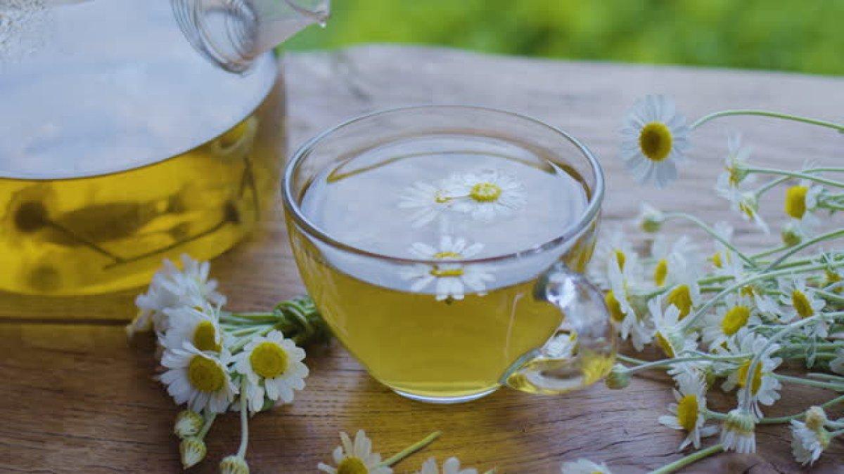 Teh Chamomile untuk mengobati panas dalam secara alami
