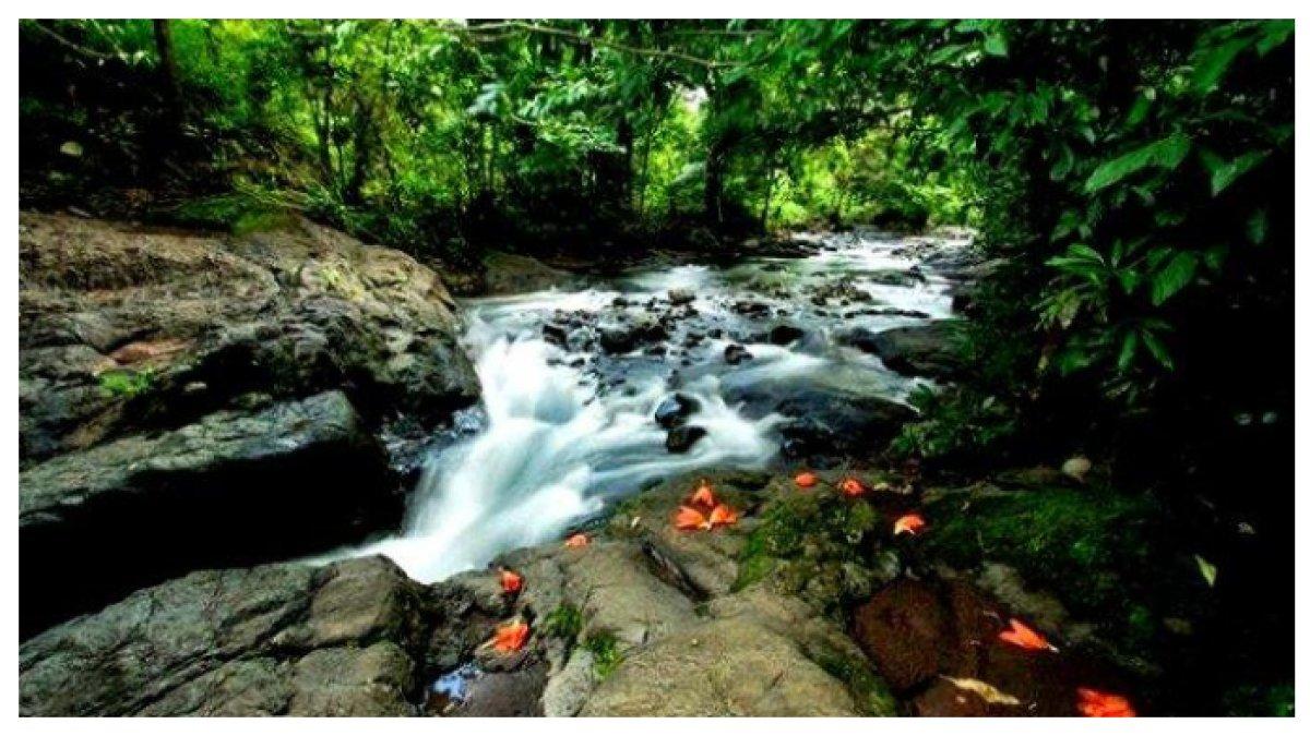 TELAGA KOMARA - Aliran sungai yang jernih di Telaga Komara, Kabupaten Takalar, menghadirkan suasana alami yang menenangkan. Cocok untuk bersantai sambil menikmati keindahan.