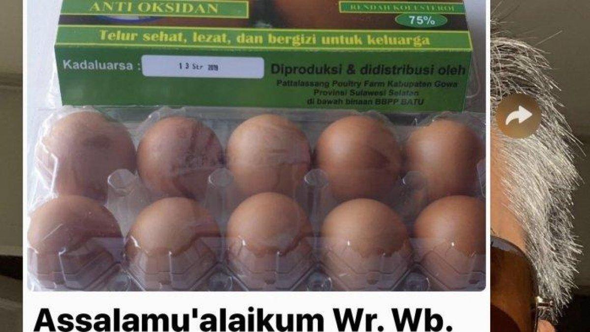 Telur ayam omega yang dijual Amar Maruf
