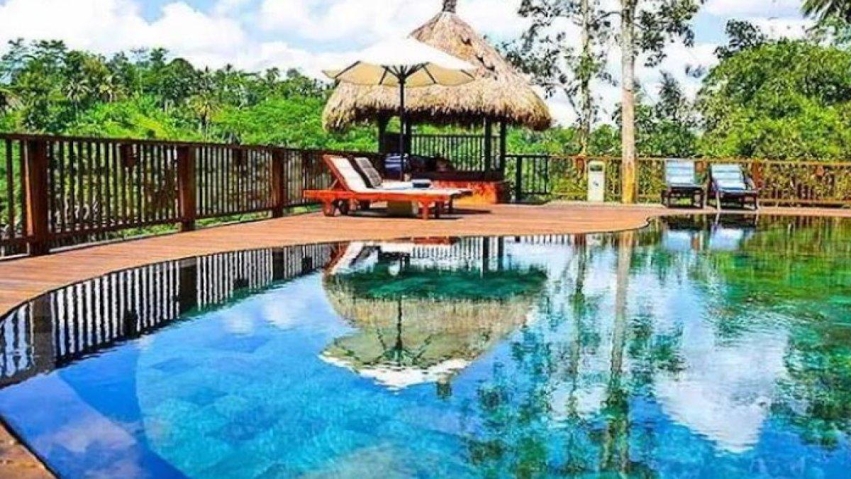 The Green Forest Resort