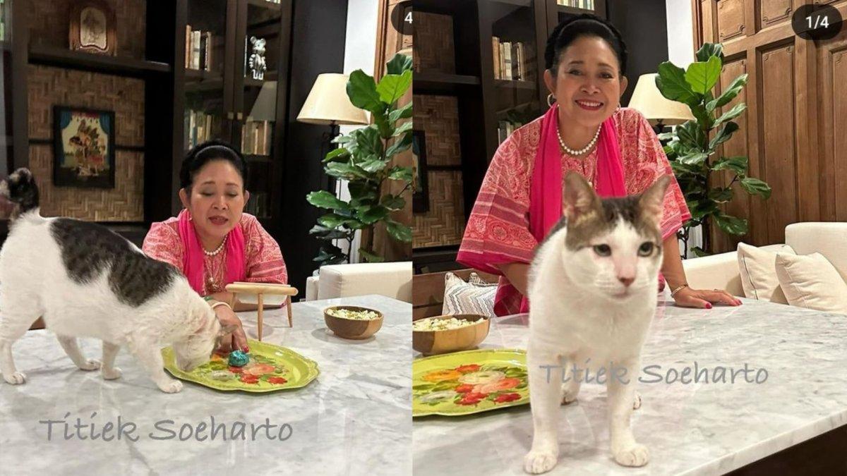 Titiek Soeharto main dengan kucing kesayangan Prabowo.