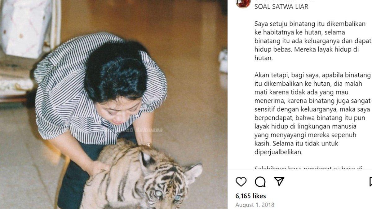 Tutut Soeharto bersama peliharaannya seekor harimau.