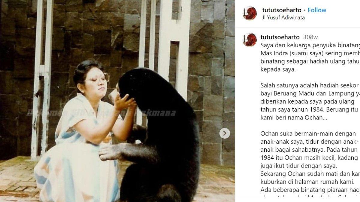 Tutut bersama peliharaannya seekor beruang madu.