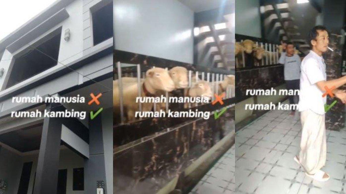Viral Pria Bangun Rumah Mewah Kandang Domba di Banjarnegara, Habiskan RP 500 Juta Karena Raih Untung