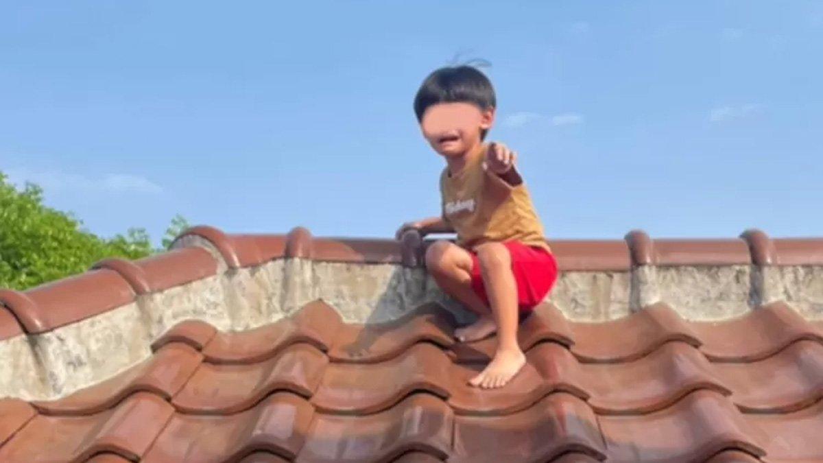 Viral anak naik ke atap cari ayam