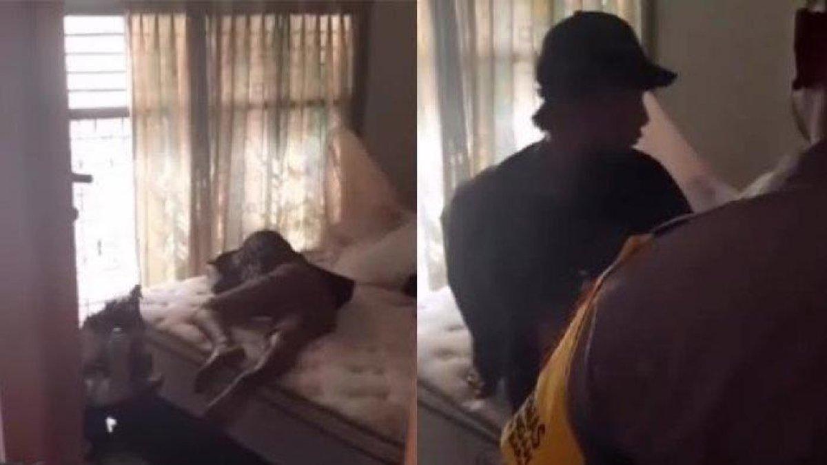 Viral maling tertidur saat hendak beraksi di rumah kosong di Jalan Pemandangan 4 RT 04/001, Kelurahan Pademangan Barat, Kecamatan Pademangan, Jakarta Utara.