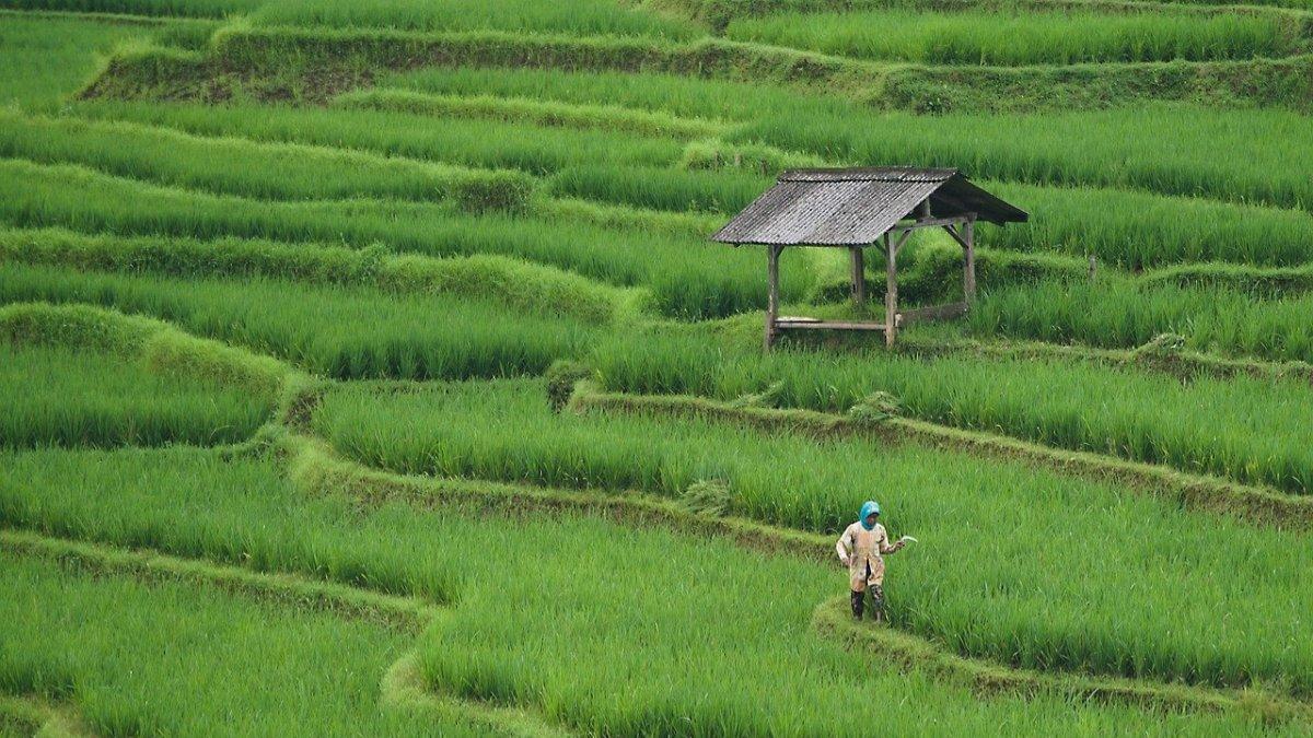Wacana pembentukan Kabupaten Blitar Selatan