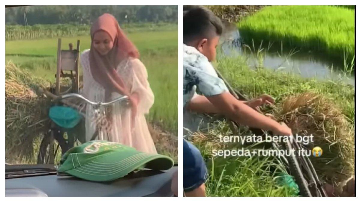 Momen wanita cantik jatuh ke sawah saat membawa sepeda dan rumput