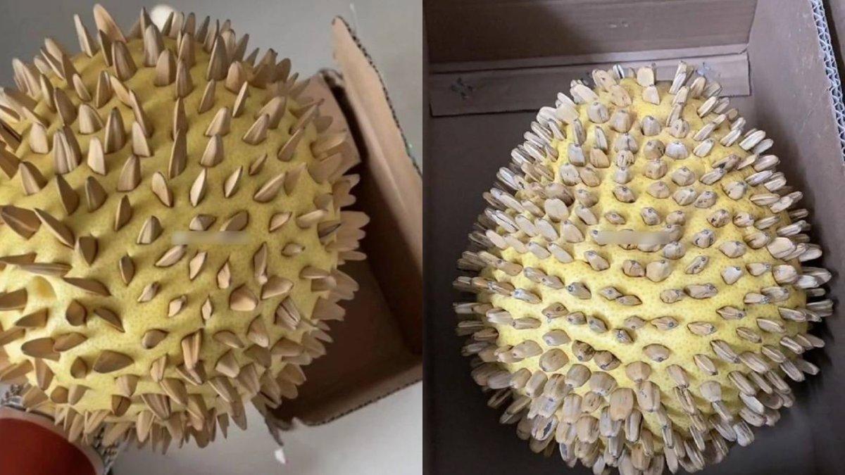 Wanita syok beli durian secara online, yang datang malah jeruk Bali.