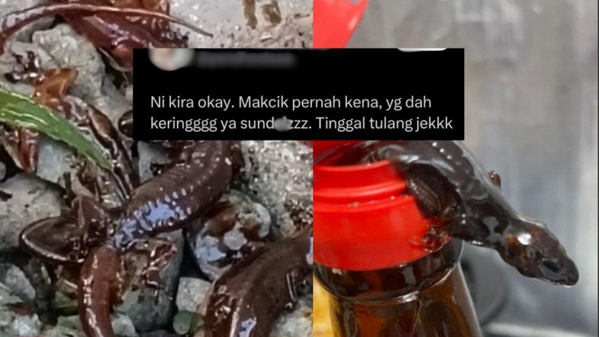 Wanita temukan bangkai cicak di dalam botol kecap.