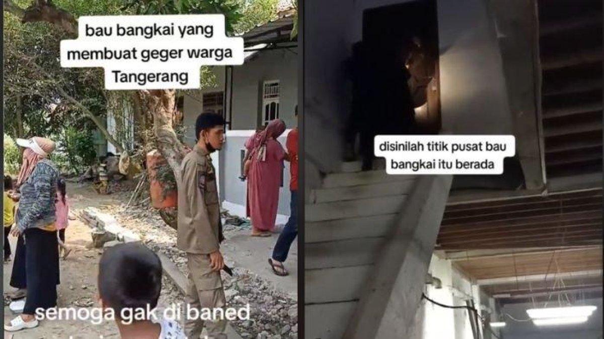 Warga Tangerang geger cium bau bangkai, ternyata ribuan kelelawar mati