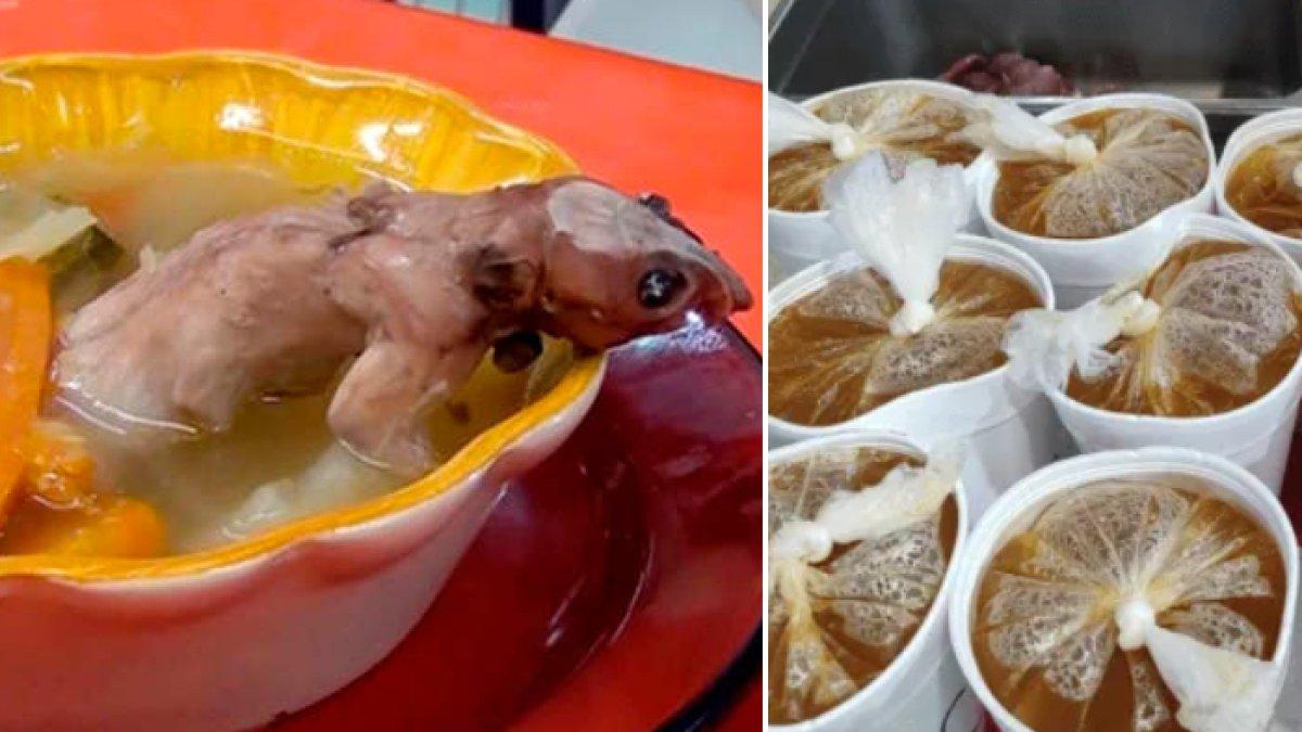 Warung di Meksiko telah menjual sup dan kaldu tikus selama 52 tahun.
