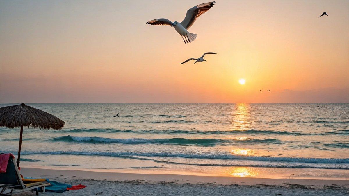 Ternyata bukan Bali, bukan juga Yogyakarta, inilah 4 wilayah pemilik garis pantai terpanjang di Indonesia, Situbondo, Banyuwangi termasuk. (ILUSTRASI)