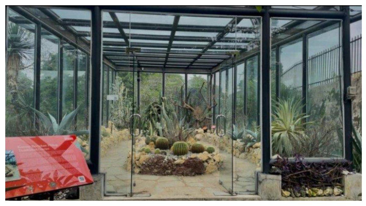 Tempat wisata bogor - Koleksi kaktus dan sukulen dari daerah kering dunia tersimpan di rumah kaca Taman Meksiko, Kebun Raya Bogor, yang dirancang agar tanaman gurun tetap subur di iklim tropis.
