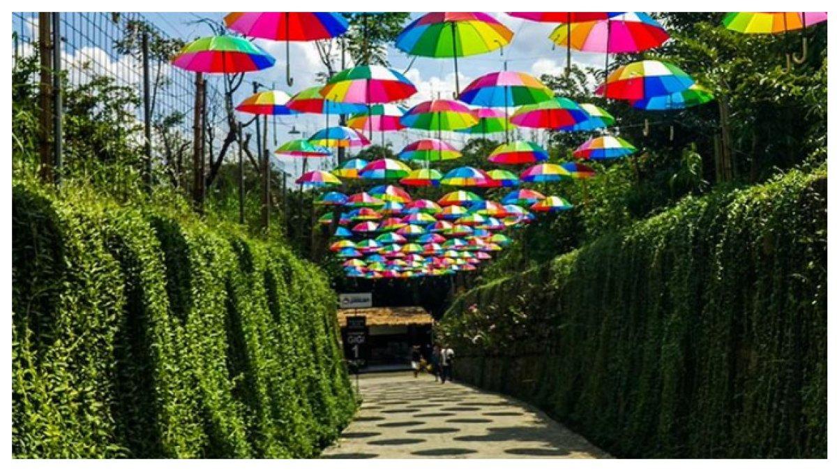 WISATA Ke Taman botani SUKORAMBI JEMBER - Taman Botani Sukorambi di Jember menawarkan keindahan alam dengan berbagai koleksi flora dan fauna. Tempat yang sempurna untuk bersantai, berfoto, dan menikmati udara segar!