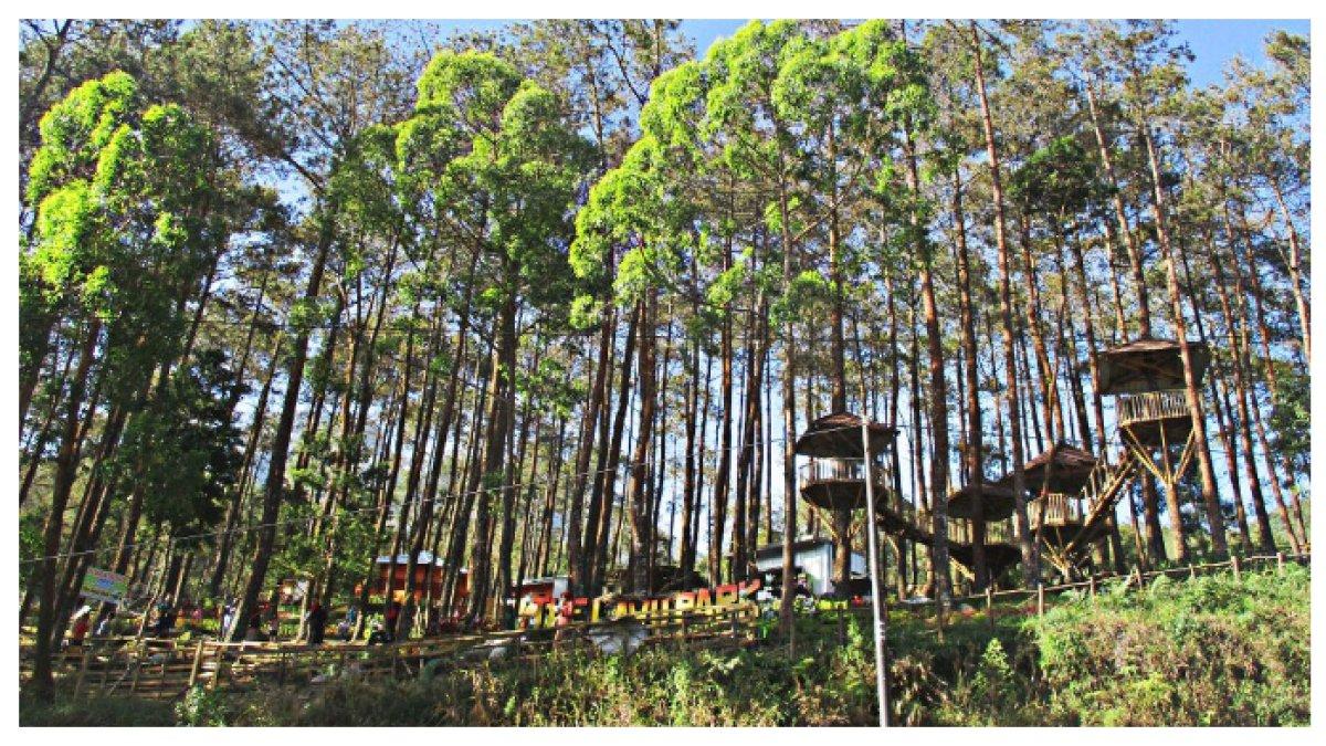 WISATA LAWU PARK - Lawu Park Tawangmangu