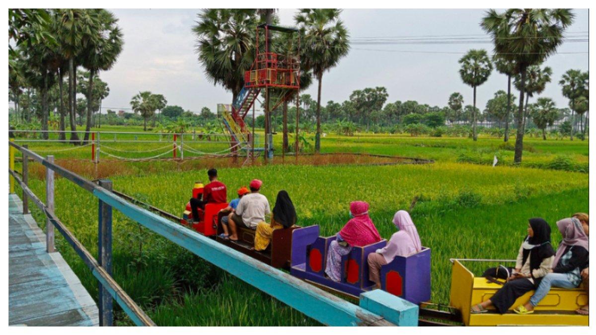 WISATA LOTAR SEWU GRESIK - Edu Wisata Lontar Sewu Gresik, salah satu wisata dekat Stadion Gelora Bung Tomo Surabaya.