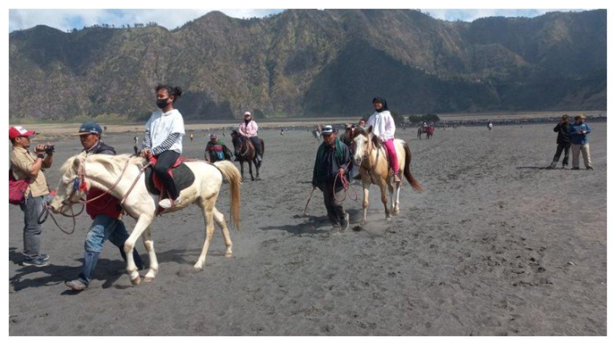 WISATAWAN GUNUNG BROMO - Wisatawan di kawasan Gunung Bromo dapat menikmati pengalaman unik dengan menunggang kuda sambil menikmati pemandangan lautan pasir dan megahnya kaldera Bromo.