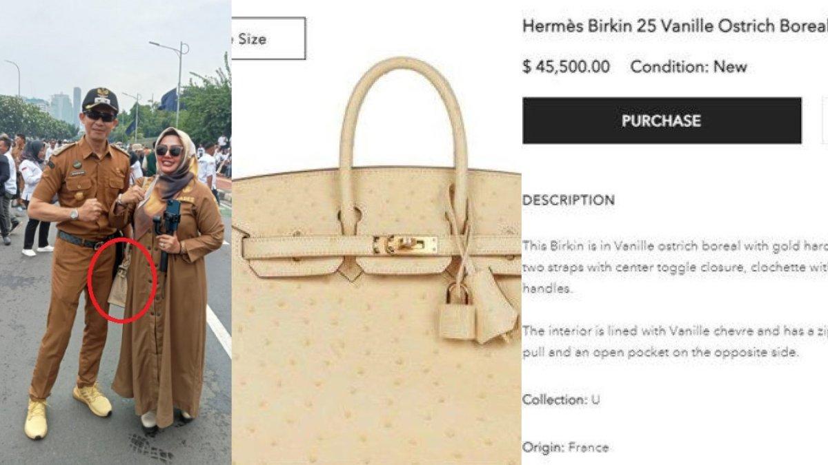 Wiwin Komalasari tenteng tas Hermes saat demo di DPR, berapa harganya?