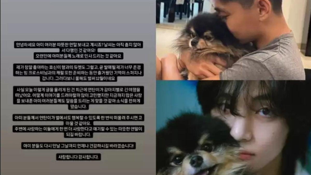 Yeontan, anjing peliharaan V BTS atau Kim Taehyung meninggal dunia
