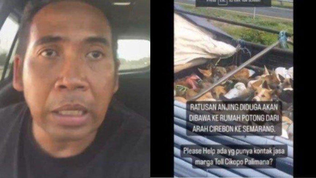 seorang aktivis binatang yang melarikan diri usai penyamarannya dibongka oleh tukang jagal anjing