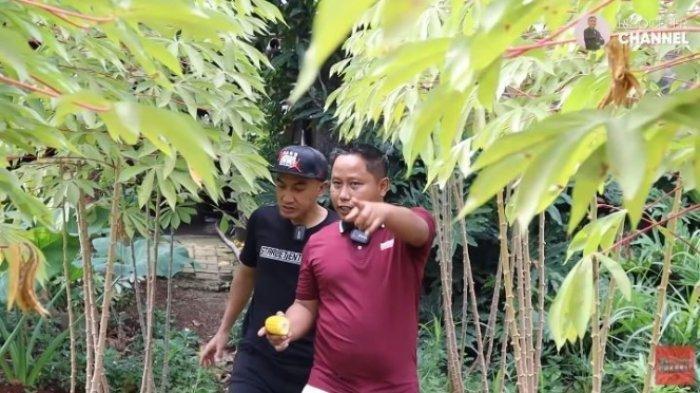 Alih-alih komedian, kini Narji Cagur memilih untuk menjadi petani.