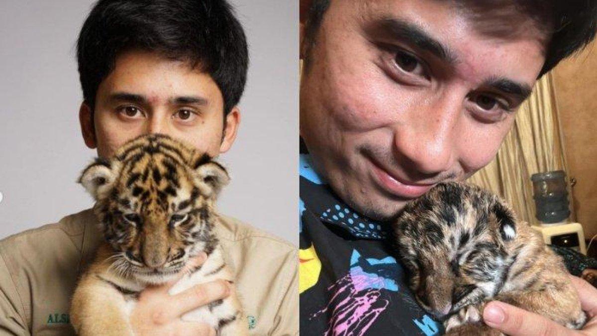 Alshad Ahmad dan anak harimau di rumahnya