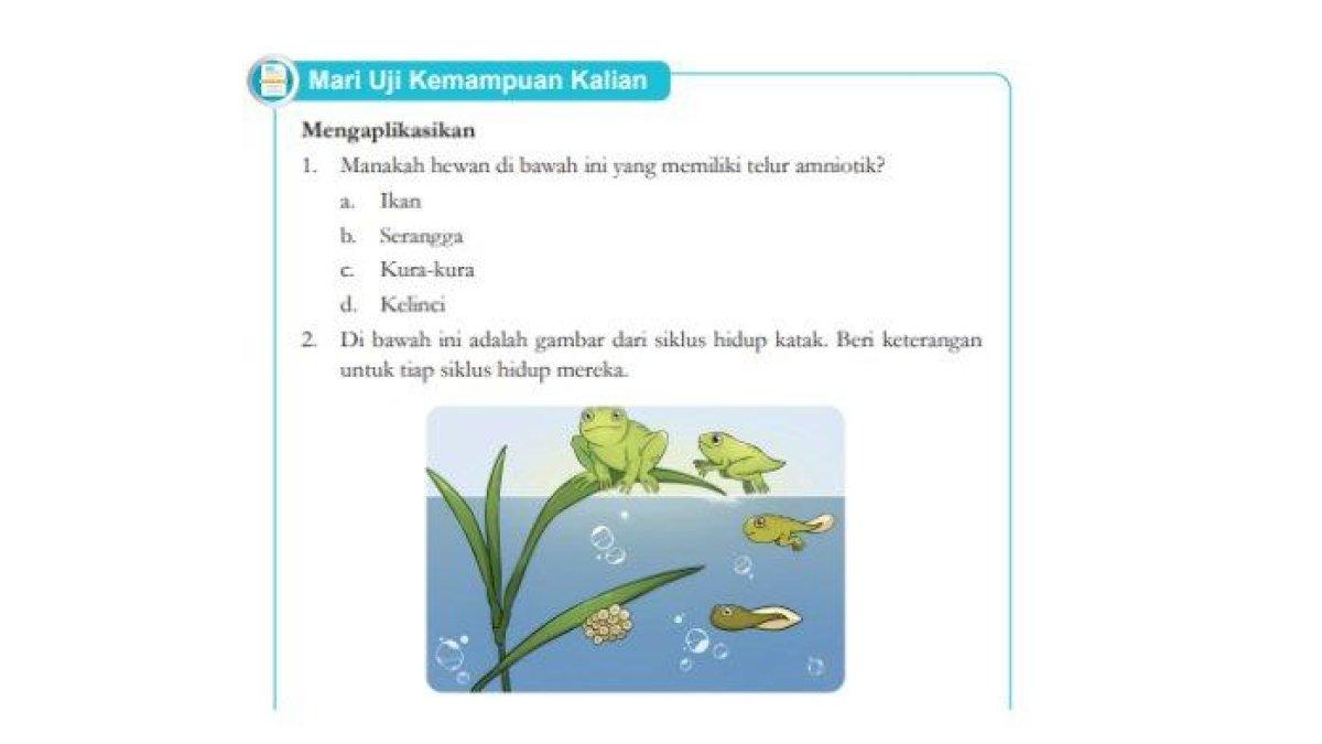 Simak kunci jawaban IPA Kelas 9 halaman 16, hewan yang memiliki telur amniotik.