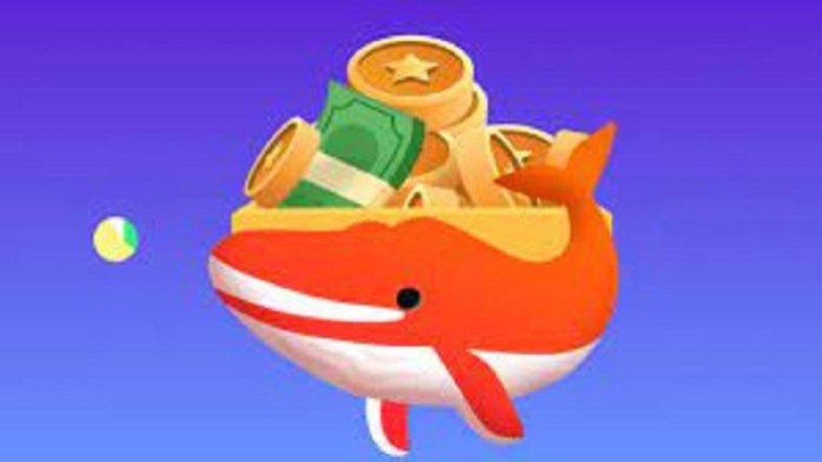 aplikasi Money Dolphin