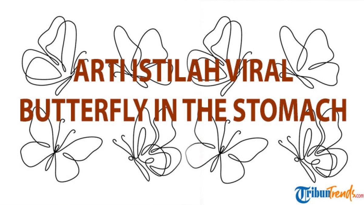 Apa Arti Butterfly in the Stomach, Istilah Viral di TikTok? Isyarat