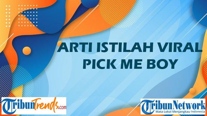 Arti istilah viral PMB atau Pick Me Boy
