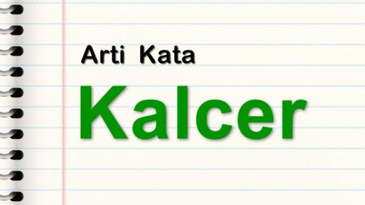 Arti Kata Kalcer, Bahasa Gaul yang Viral di Sosial Media, Lengkap dengan Contoh Kalimat