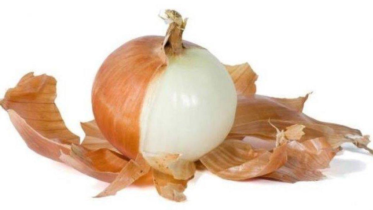 bawang bombai untuk mengobati uban rambut