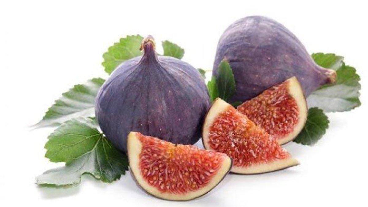 buah tin untuk mengobati anemia