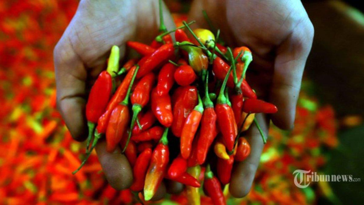 HARGA SEMBAKO - Berikut update harga pangan hari ini Jumat, 11 Juli 2025.