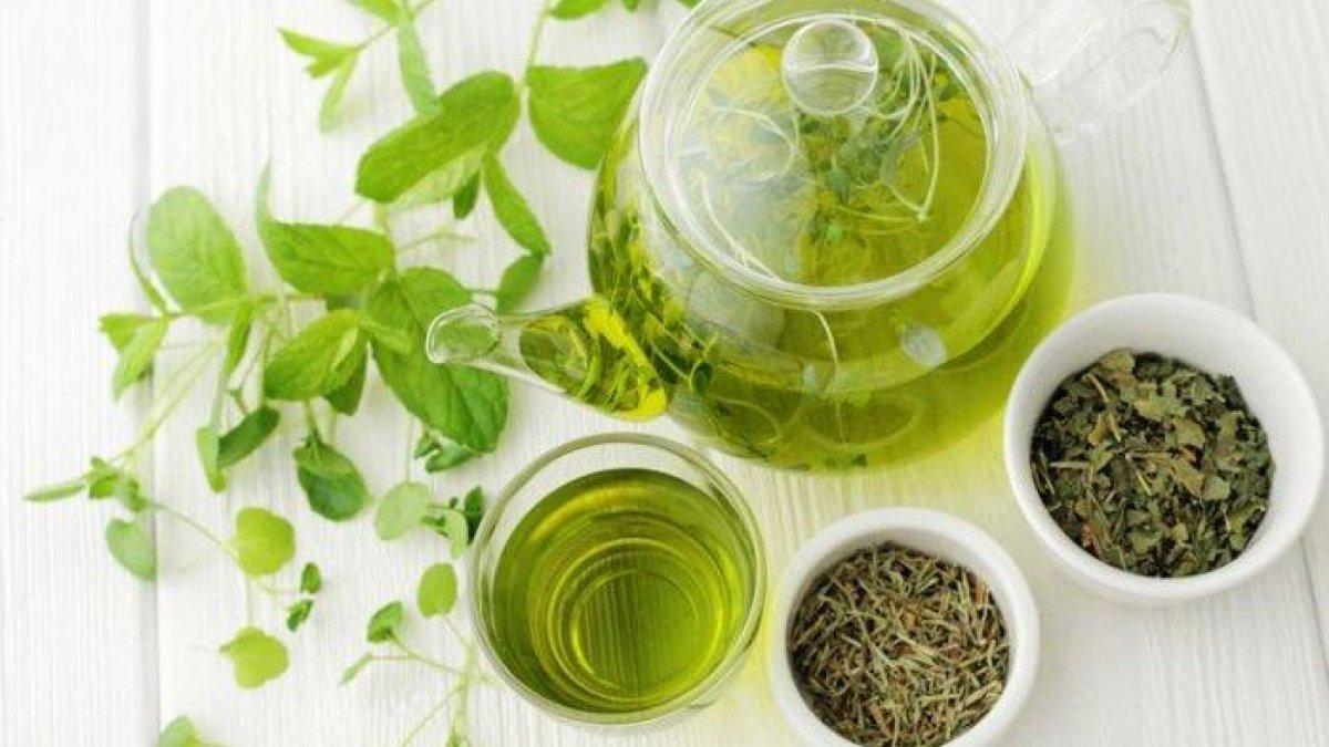 daun teh untuk mengobati bau kaki secara alami