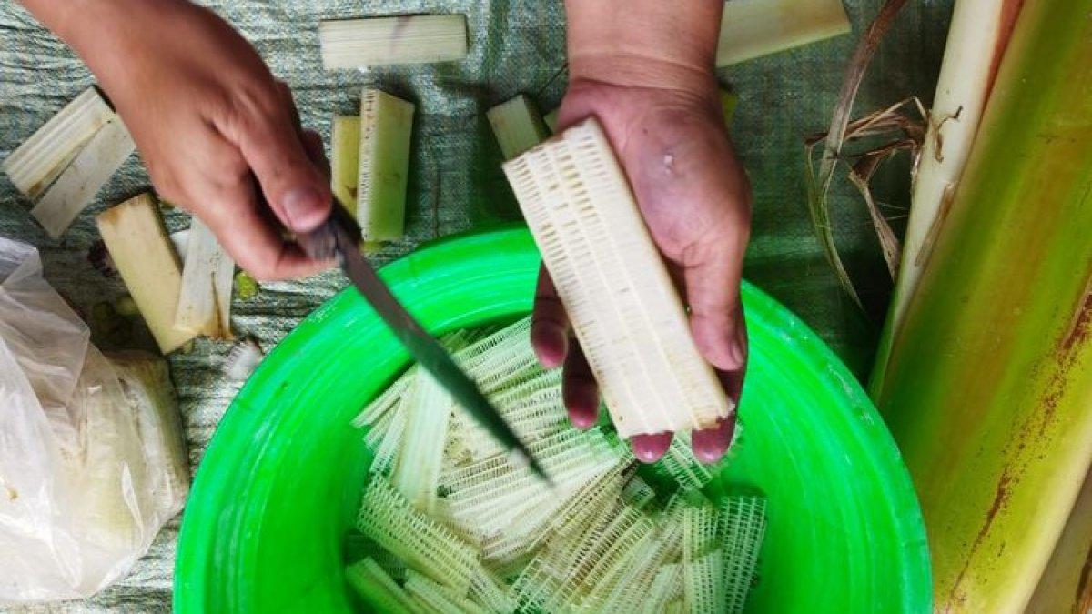 BELANJA OLEH-OLEH LEBARAN 2025: Pembuatan Gedhebog Pisang, kripik renyah dari batang pisang buat oleh-oleh Blora